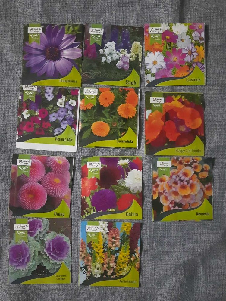 Flowers Seed