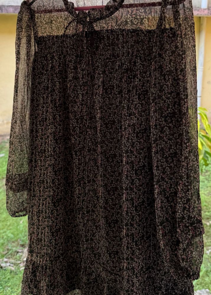 Sheer Floral Print Dress