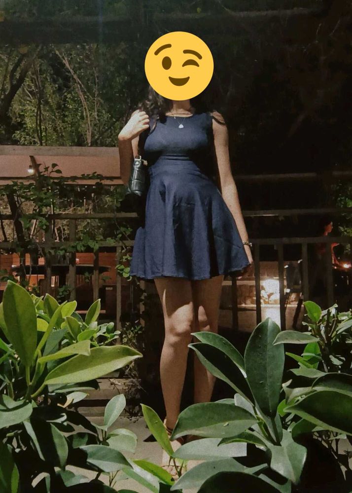 Navy Blue Sleeveless Fit and Flare Dress