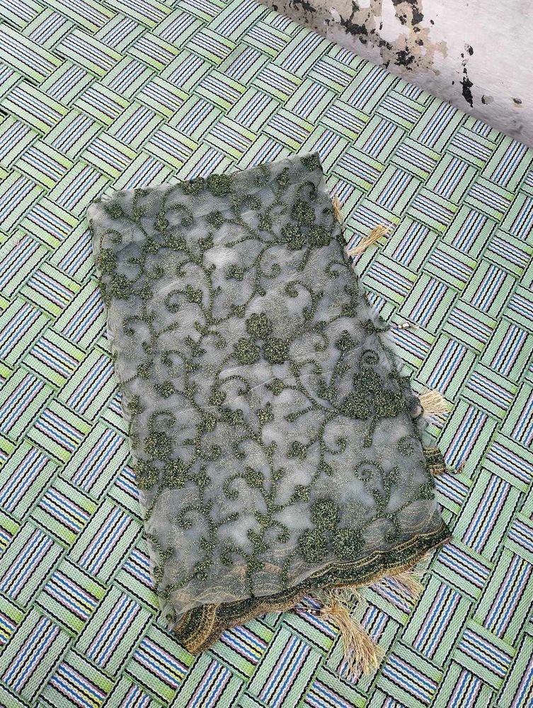 Green 💚 Net Dupatta