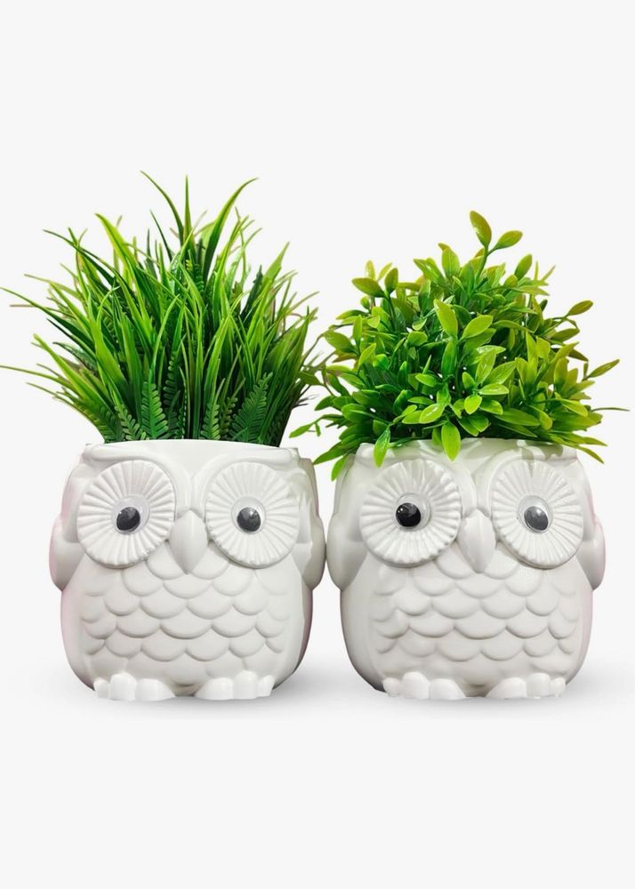 Cute Owl Planter Pots Set of 2