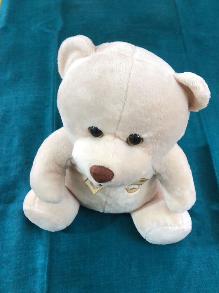 Adorable Plush Teddy Bear 🧸
