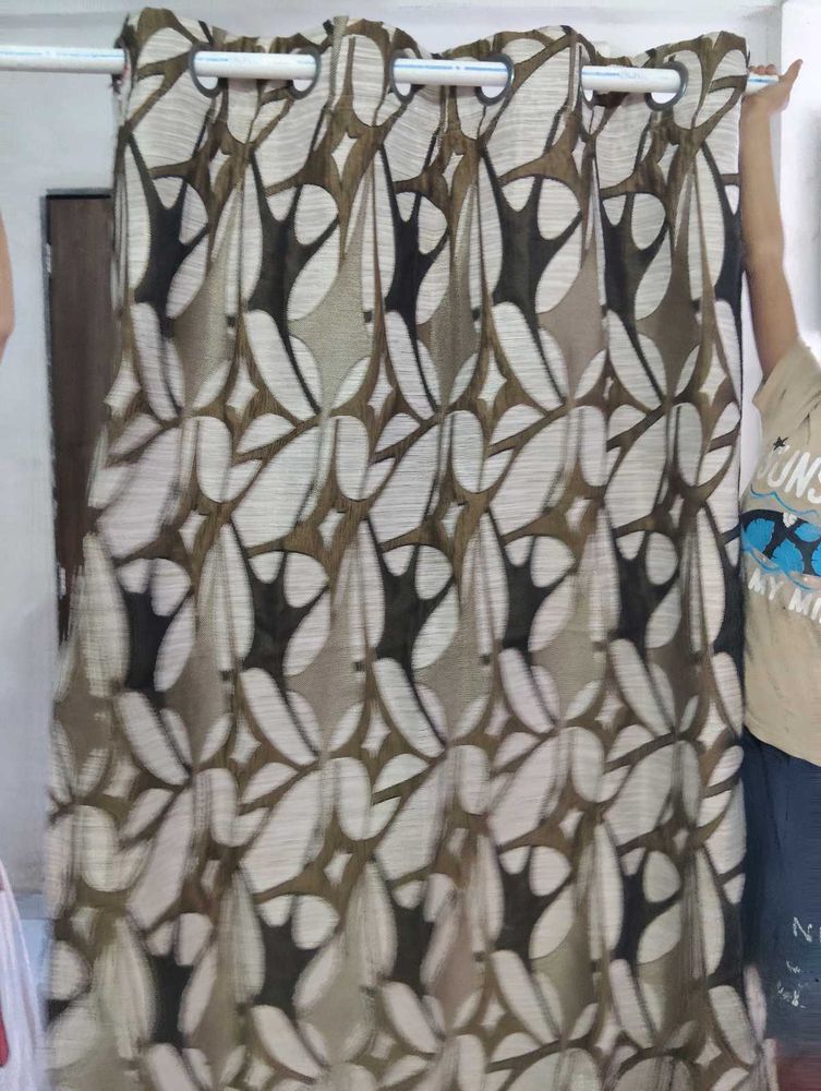 Single window Curtains