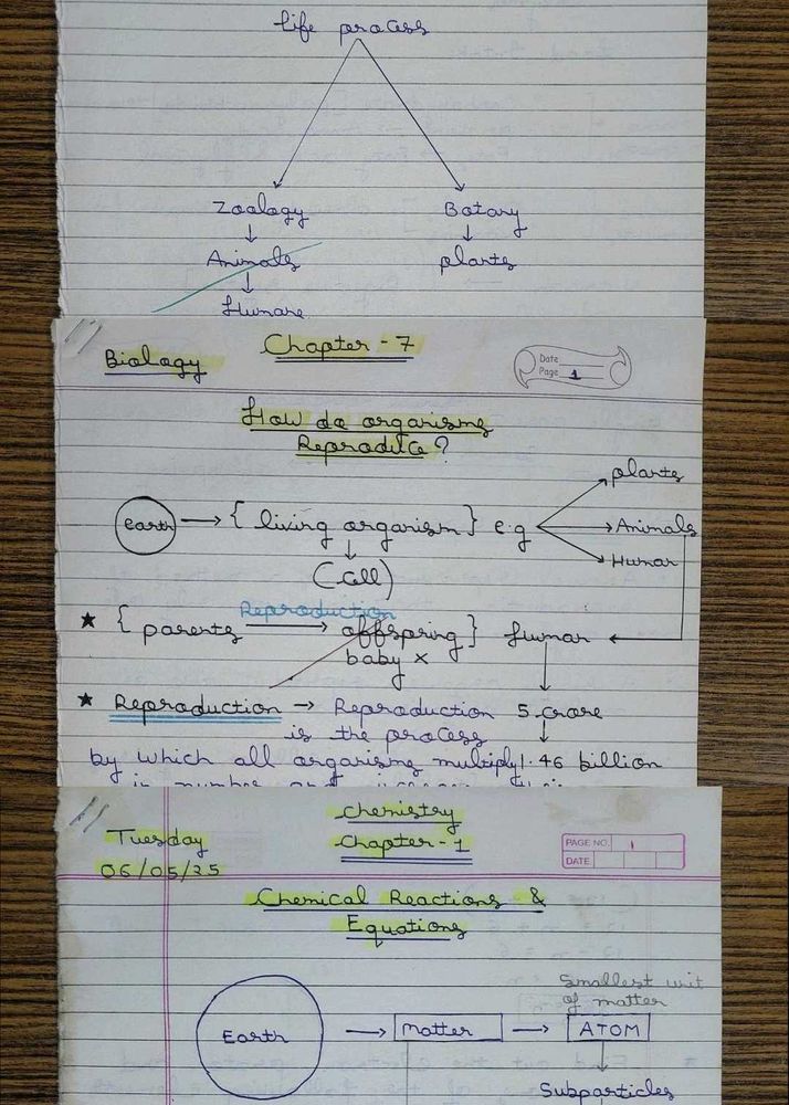 Class 10th Bio &amp; Chemistry Loose Notes for Rev.