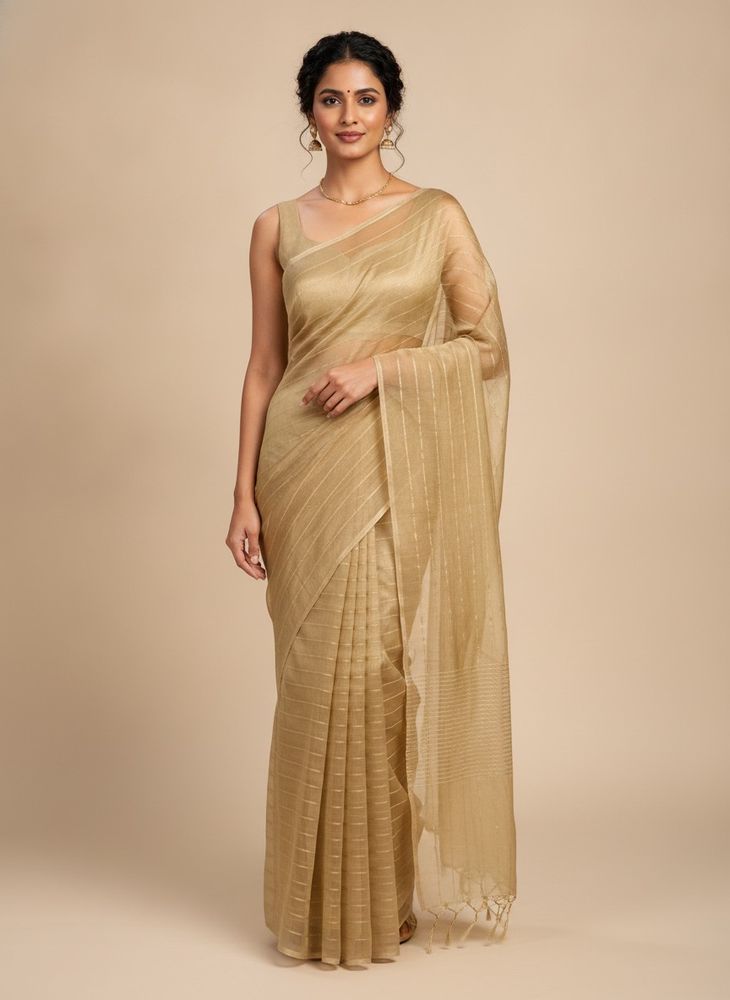 organza tissue saree