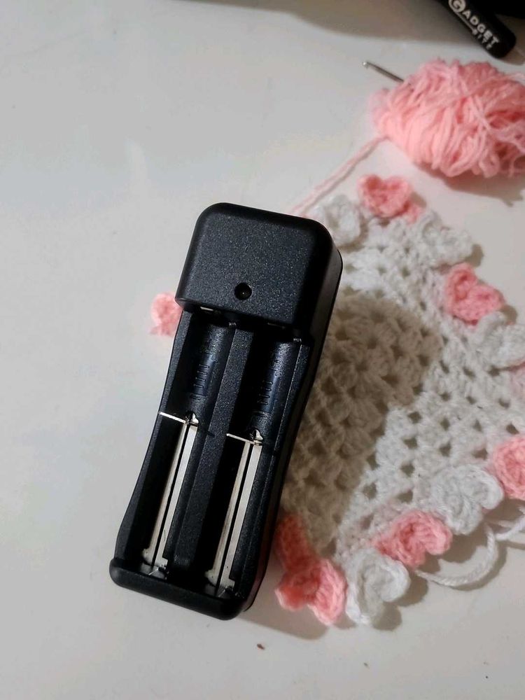 Universal Auto Stop Dual Battery Charger ⚡️🔋