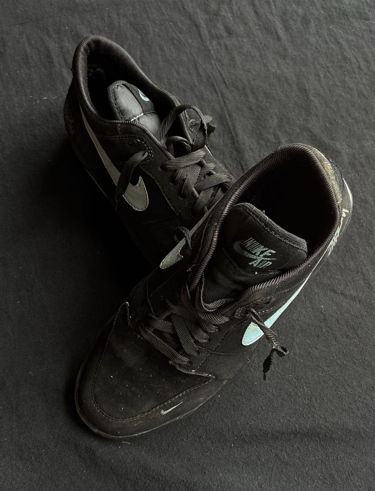 Nike brand new shoe stussy