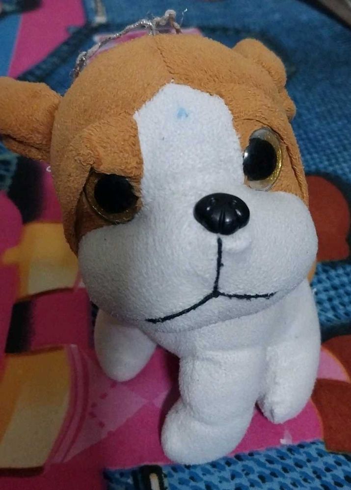 It's Toy Dog
