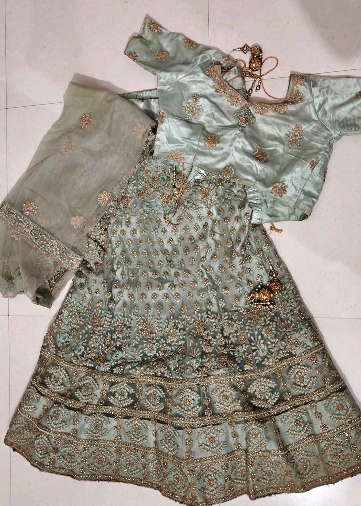 Elegant Embroidered Lehenga Choli Set