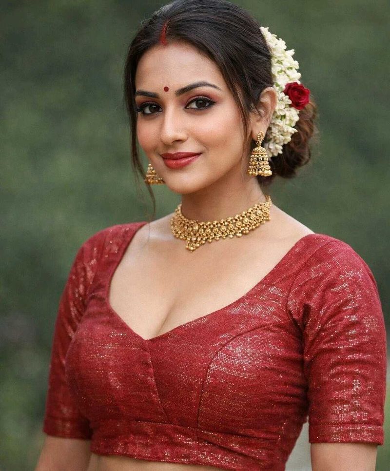 Maroon  Net blouse