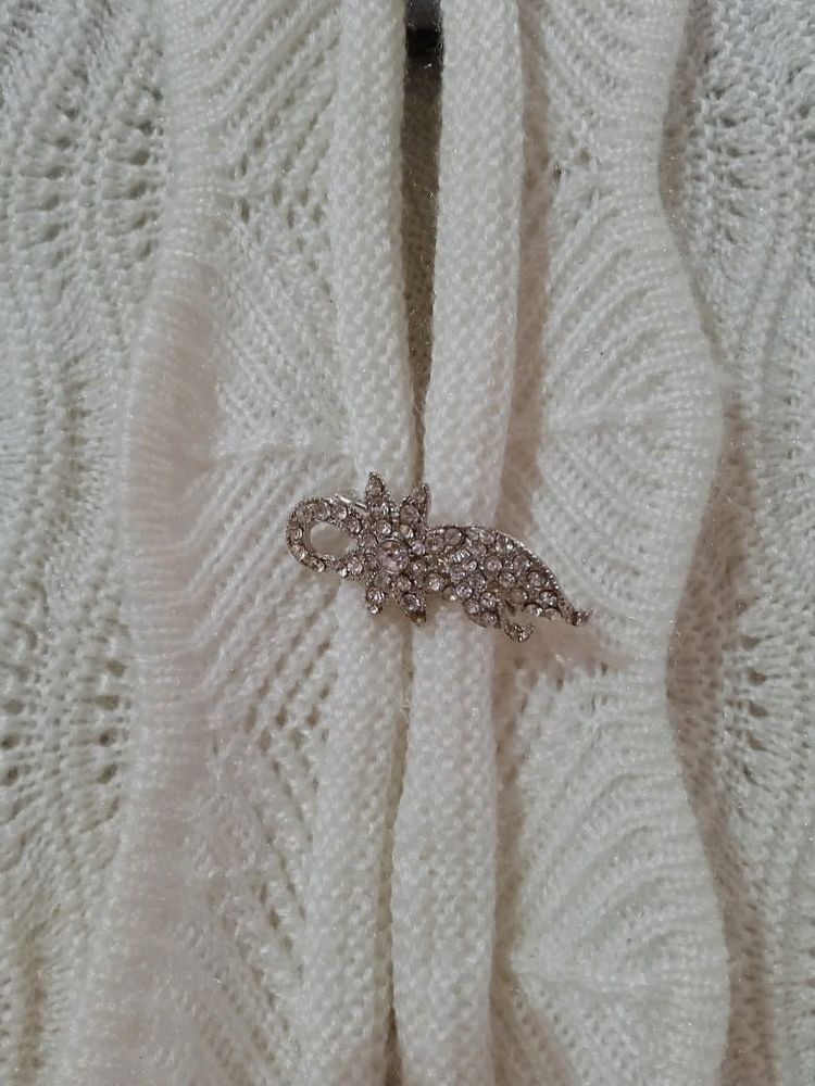 Today's Price..Winter Shrug