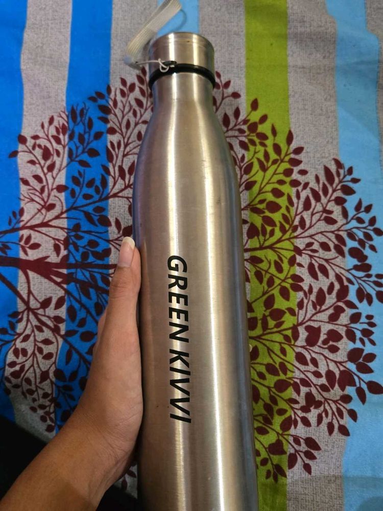 Green Kiwi Stainless Steel Water Bottle