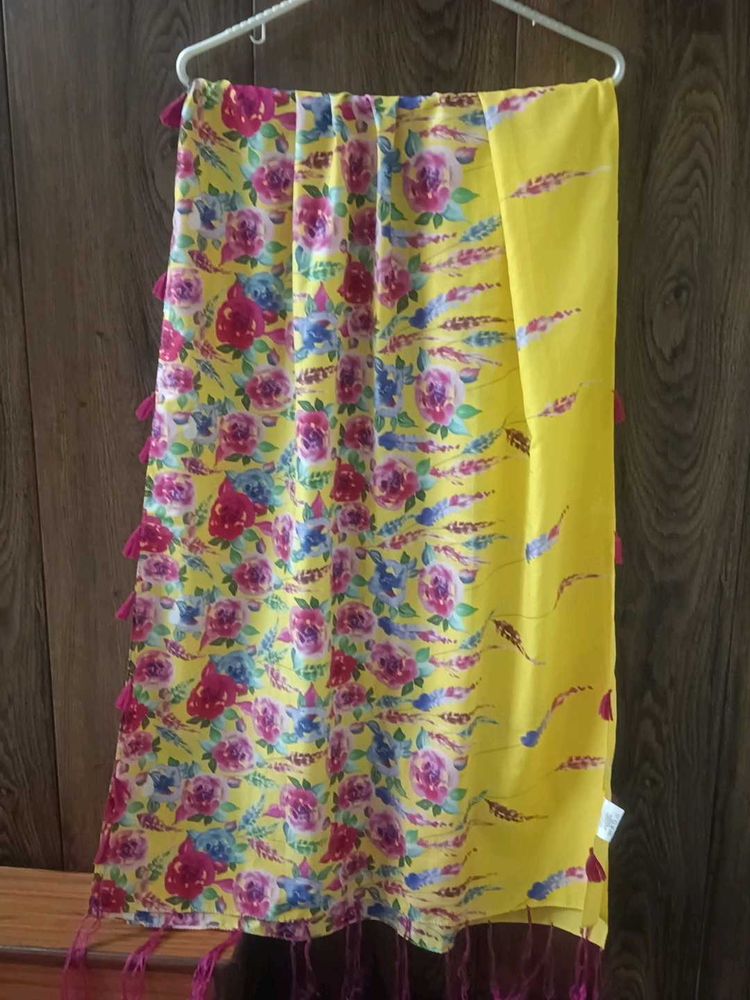 Women Scarves &amp; Stole