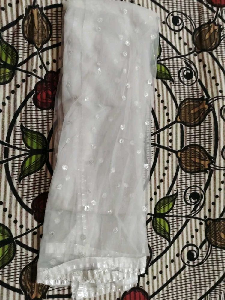 Elegant silver Sequin Dupatta