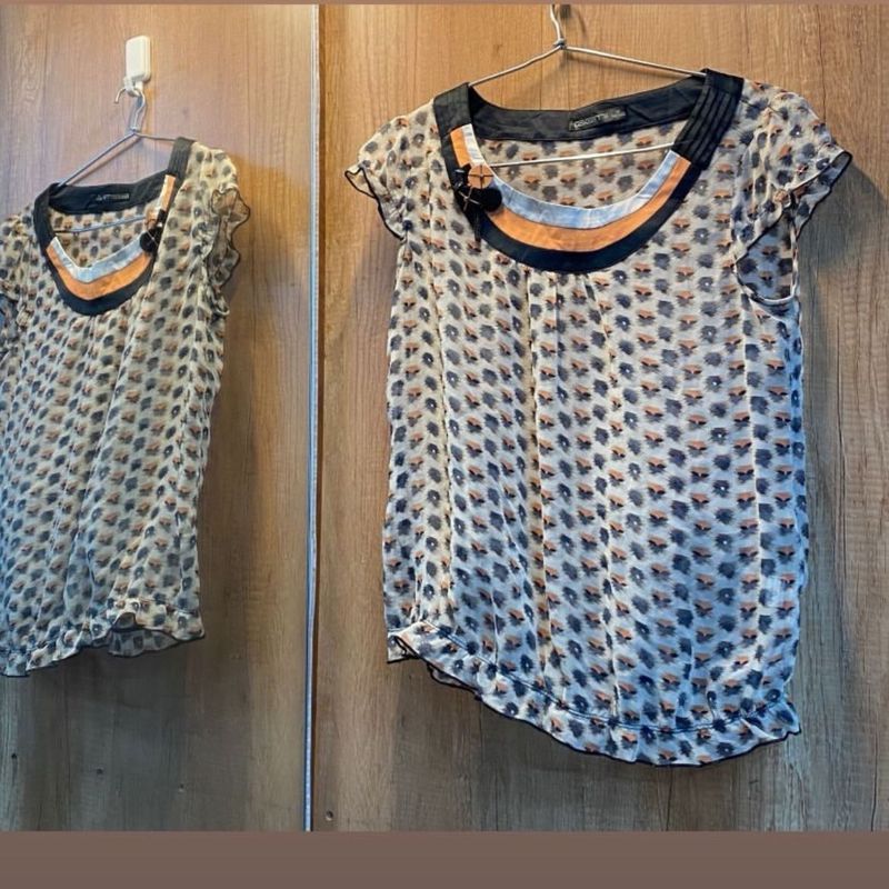 Elegant Sheer Blouse