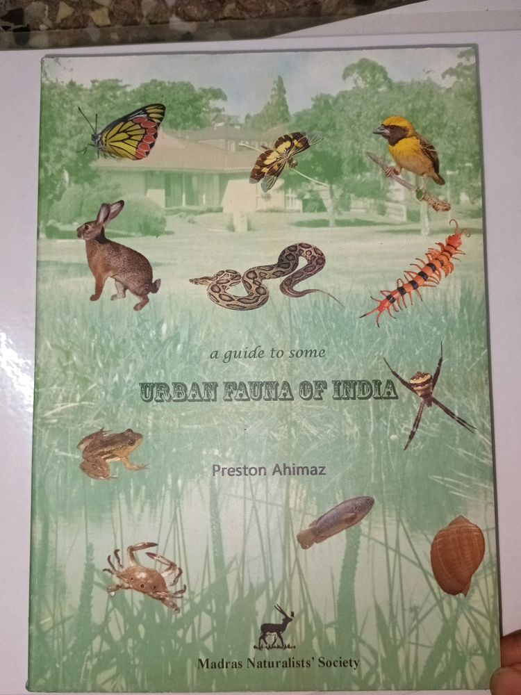 Urban Fauna Of India