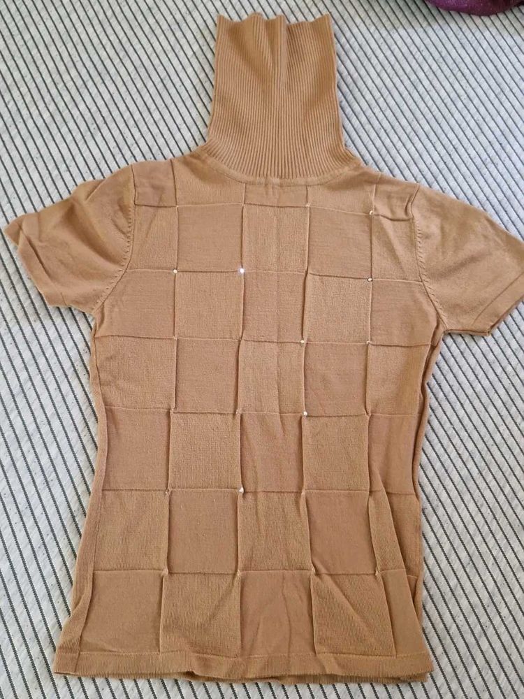 Camel Mesh Turtleneck Top