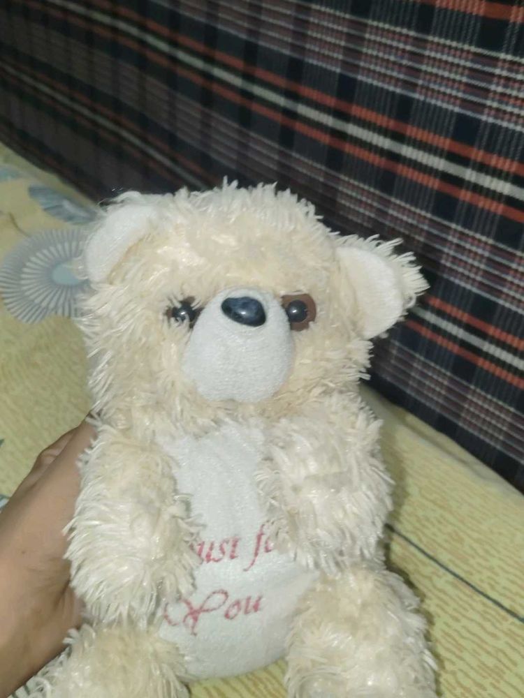 Cute Cream Teddy Bear