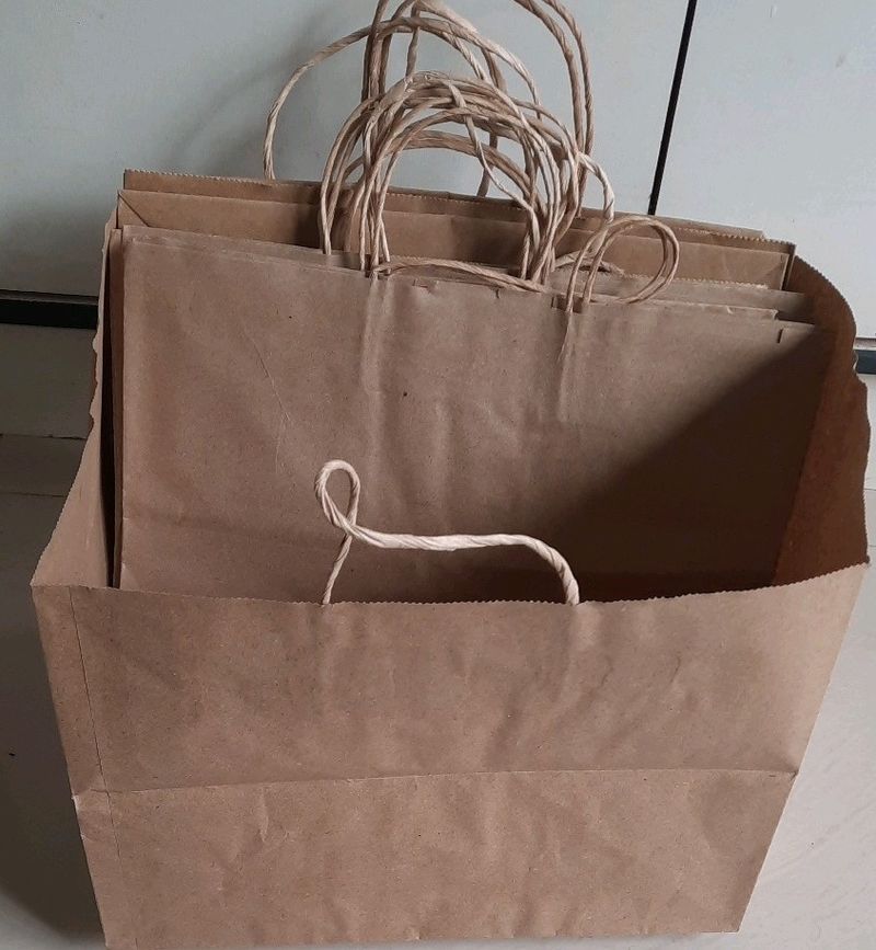12 Large Brown Gifting Bags