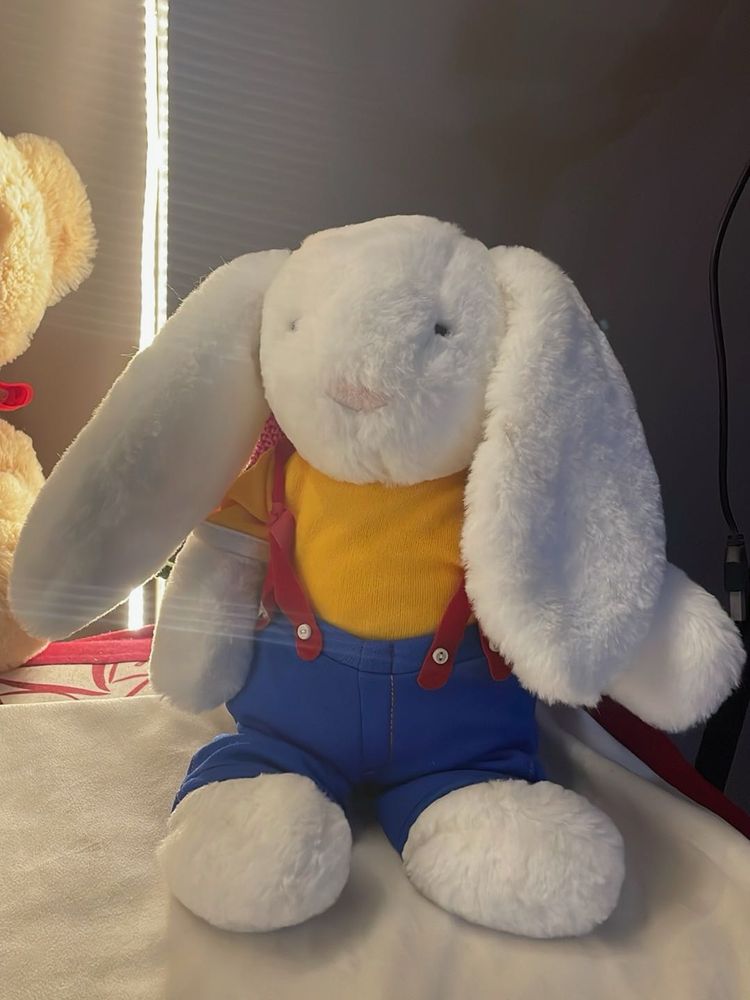 Adorable White Bunny Plush