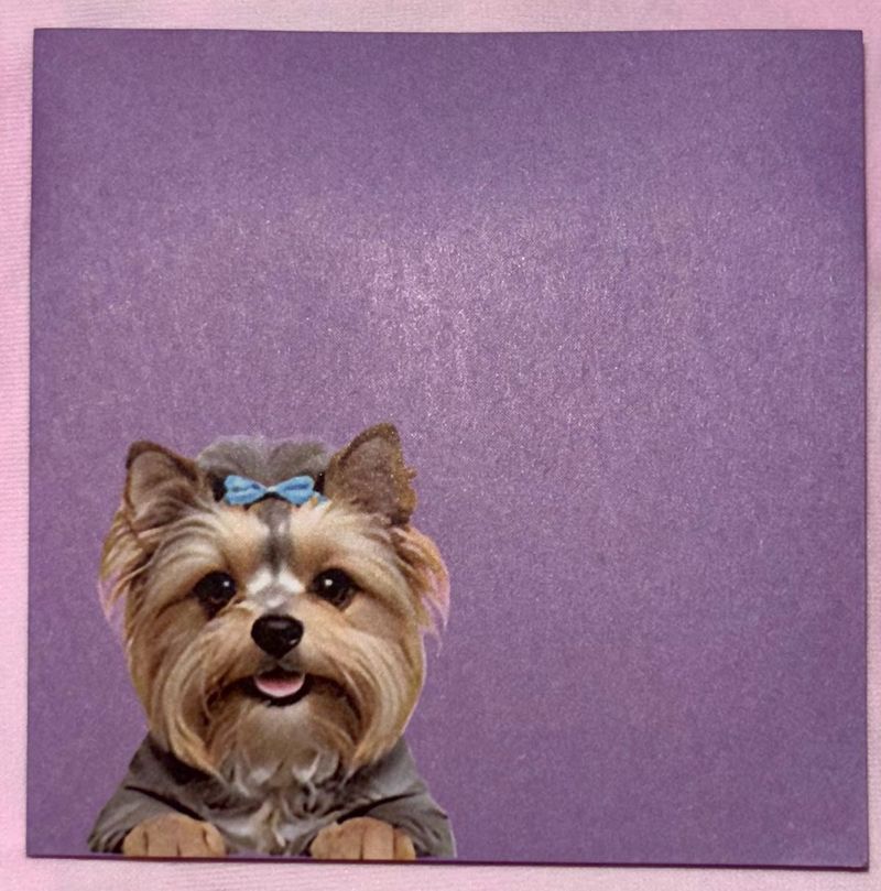 Cute Yorkie Dog post it notes