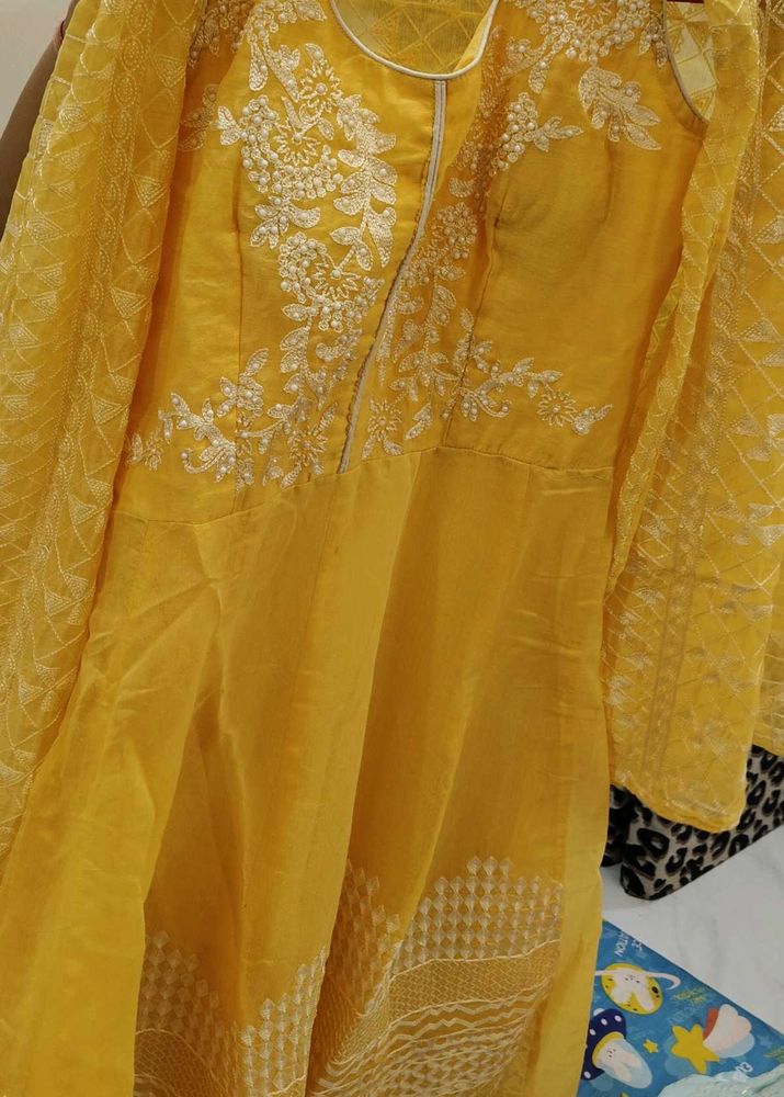 Elegant Yellow Embroidered gown