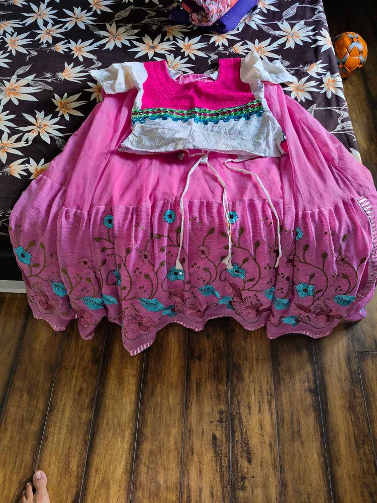Pink Embroidered Lehenga Choli Set