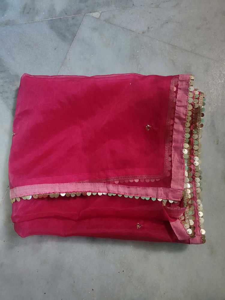 Vibrant Pink Dupatta with Sequins