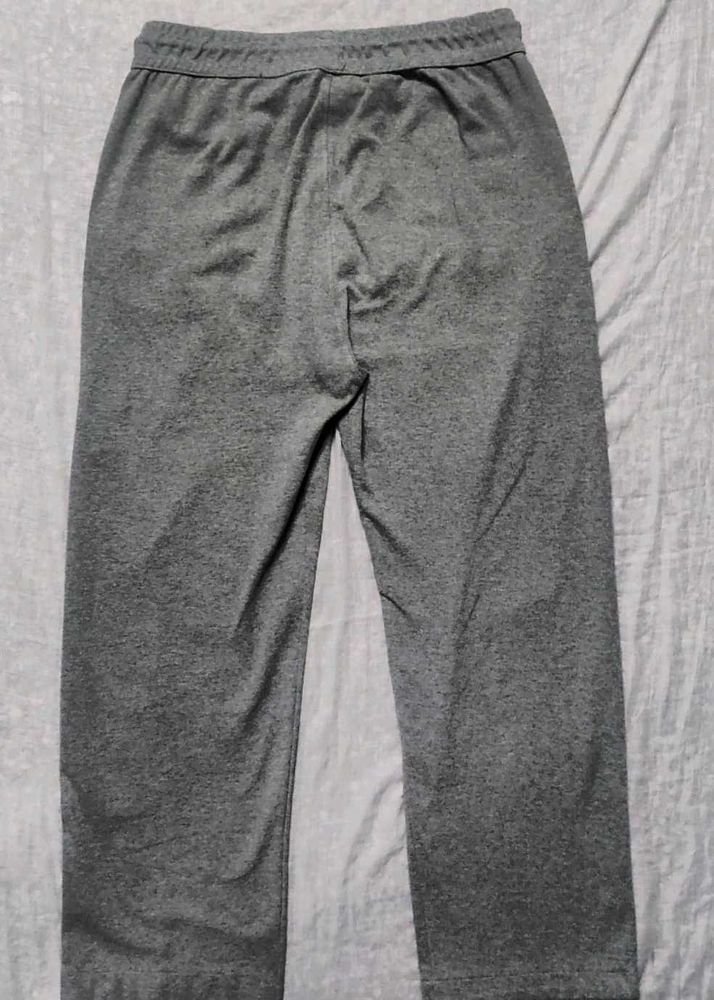 Gray Casual Pants