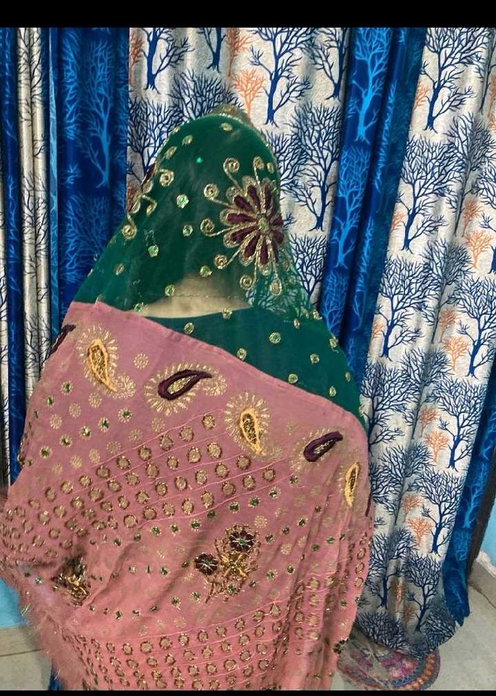 Embroidered saree with blowse