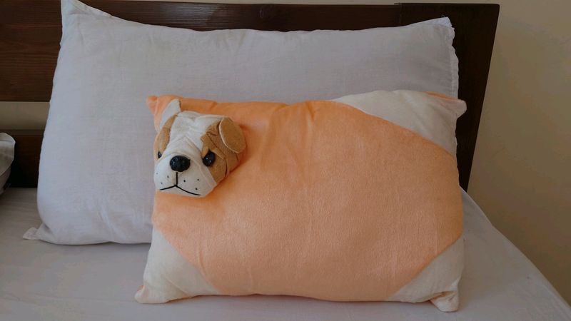 Cute Small Pillow