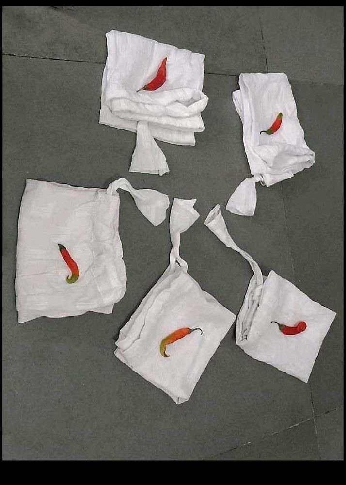 Unique Organiser Bag