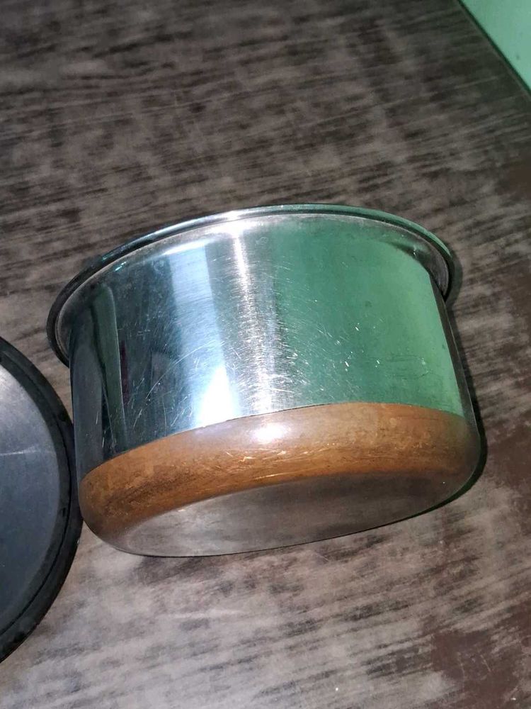 Stainless Steel Food Container