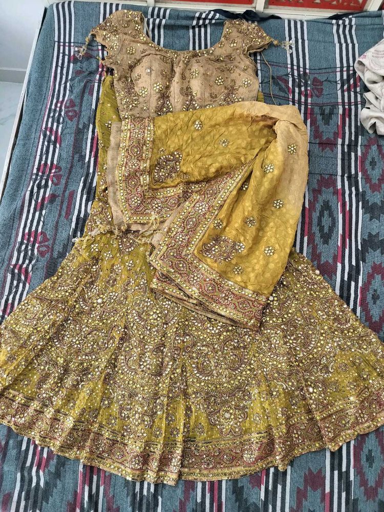 sale trending fish cut Lehenga