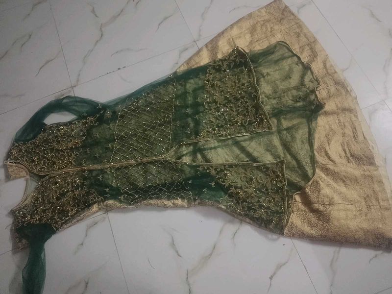 Elegant Green &amp; Gold Lehenga Choli