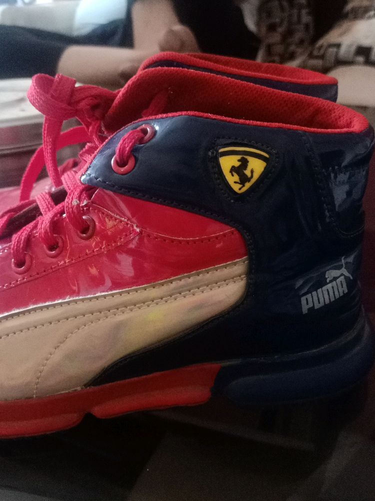 Puma Red Shoe Only One Time Used Just For 1500