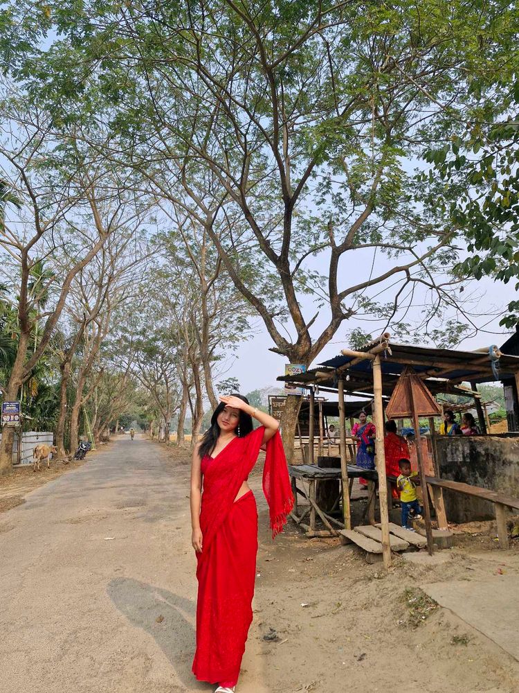 Saree And Blouse
