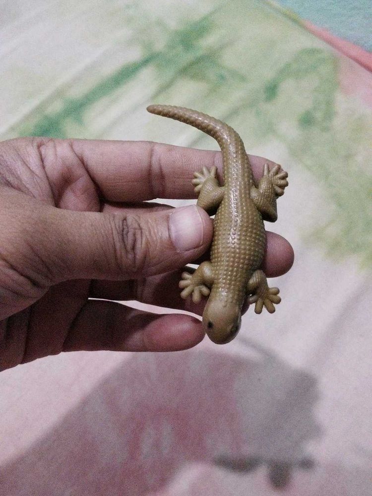 Toy Lizard for Collectibles