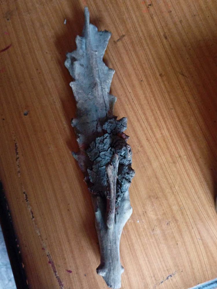 Driftwood Wall Art