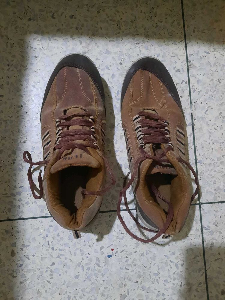 Men's Brown Casual Shoes