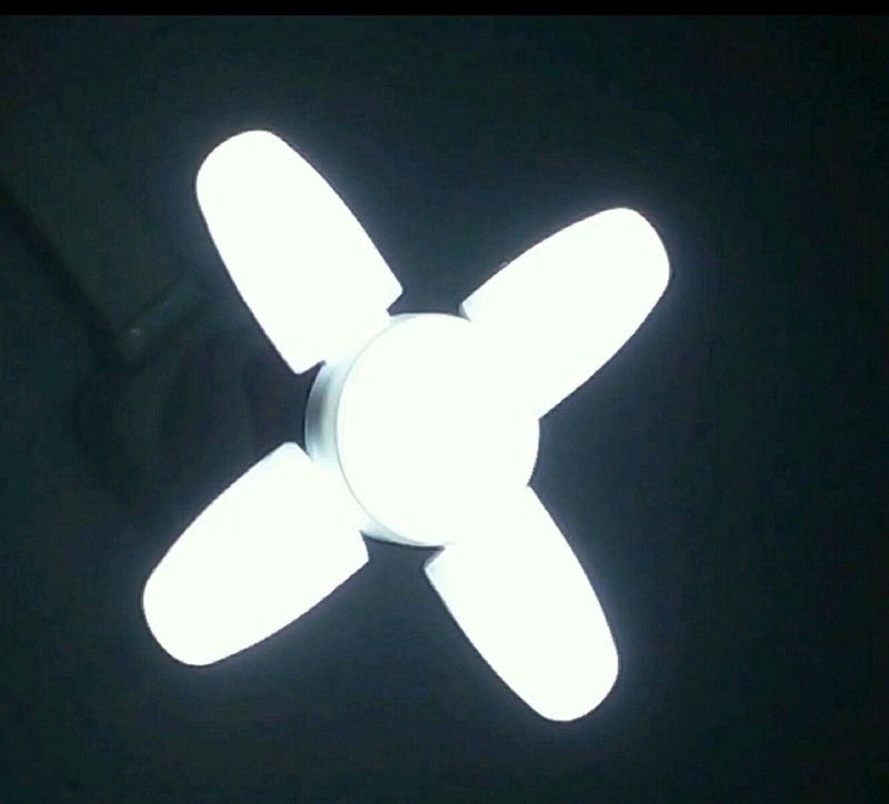 Fan Light