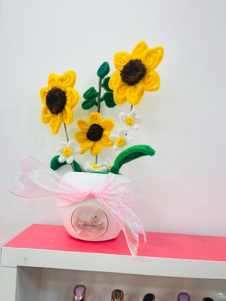 sunflower pot 🌻✨