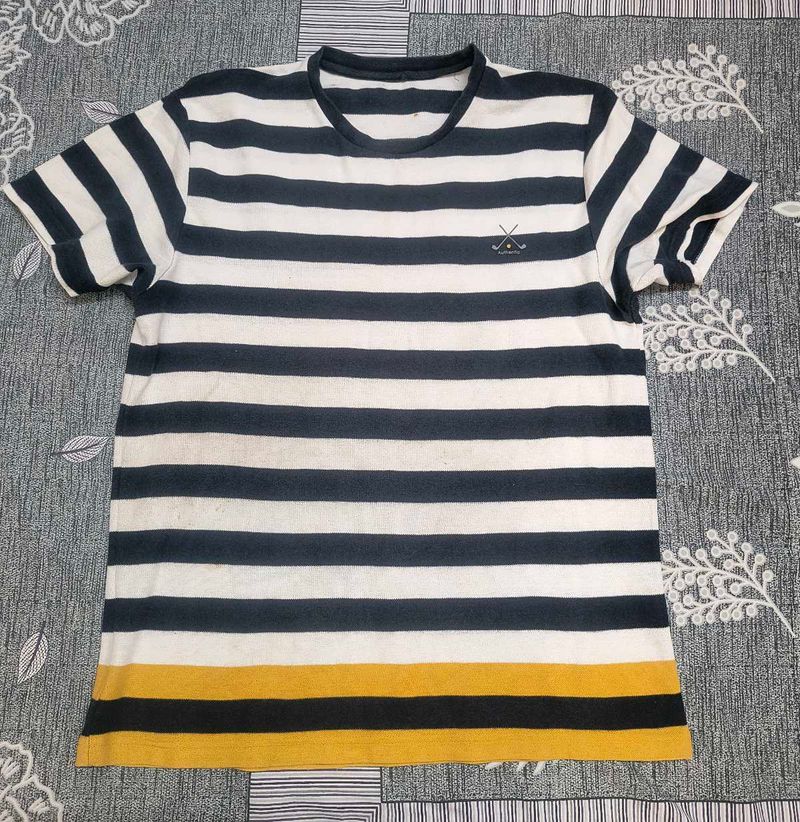 Striped Men's T-Shirt