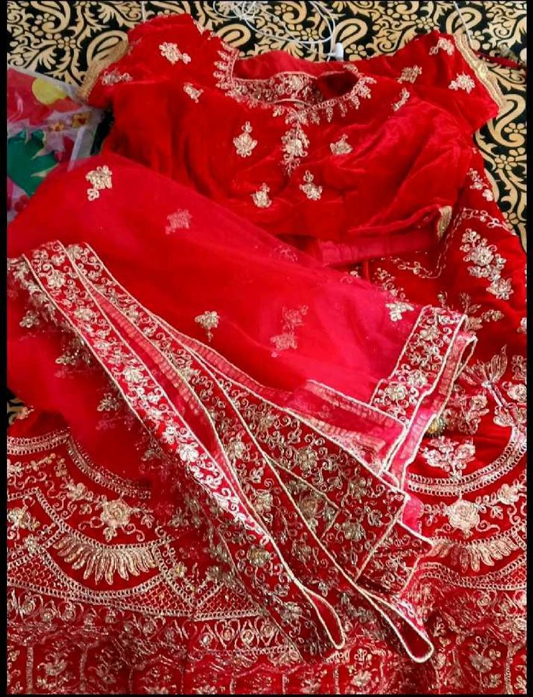 Red Velvet Lehenga Choli with Gold Embroidery