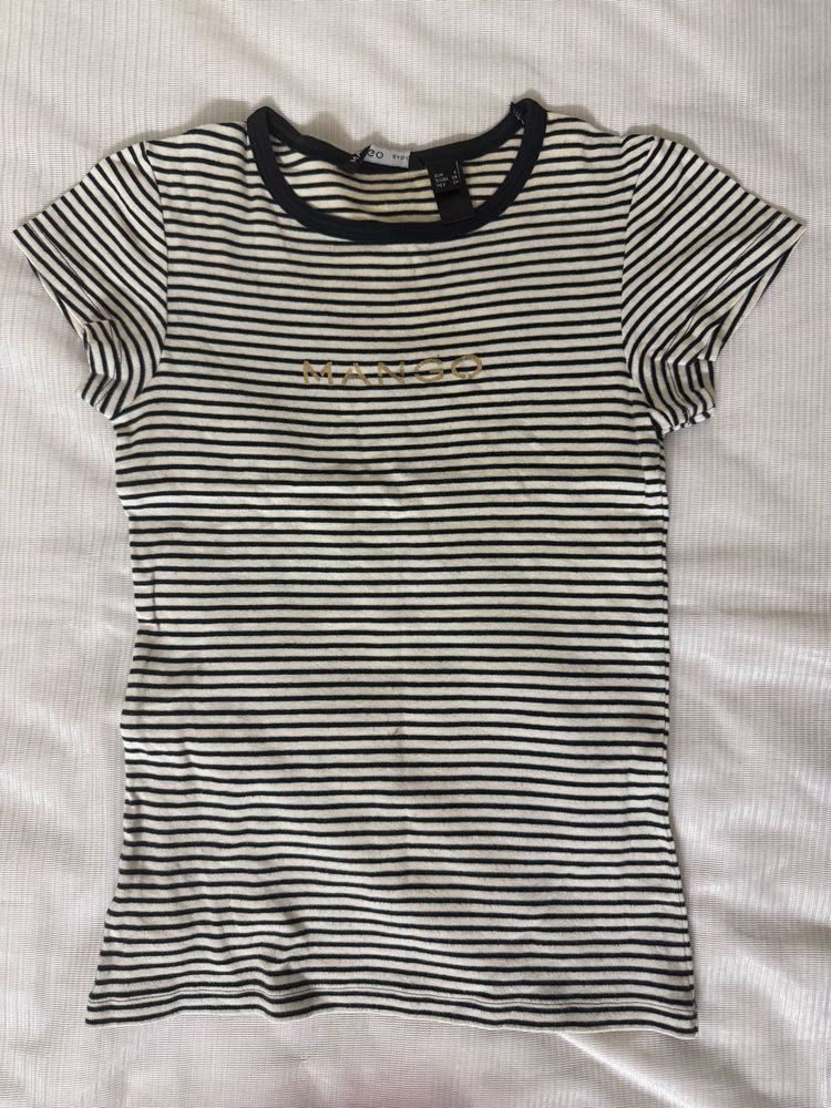Mango Striped Cropped Tee with Gold Embroidery
