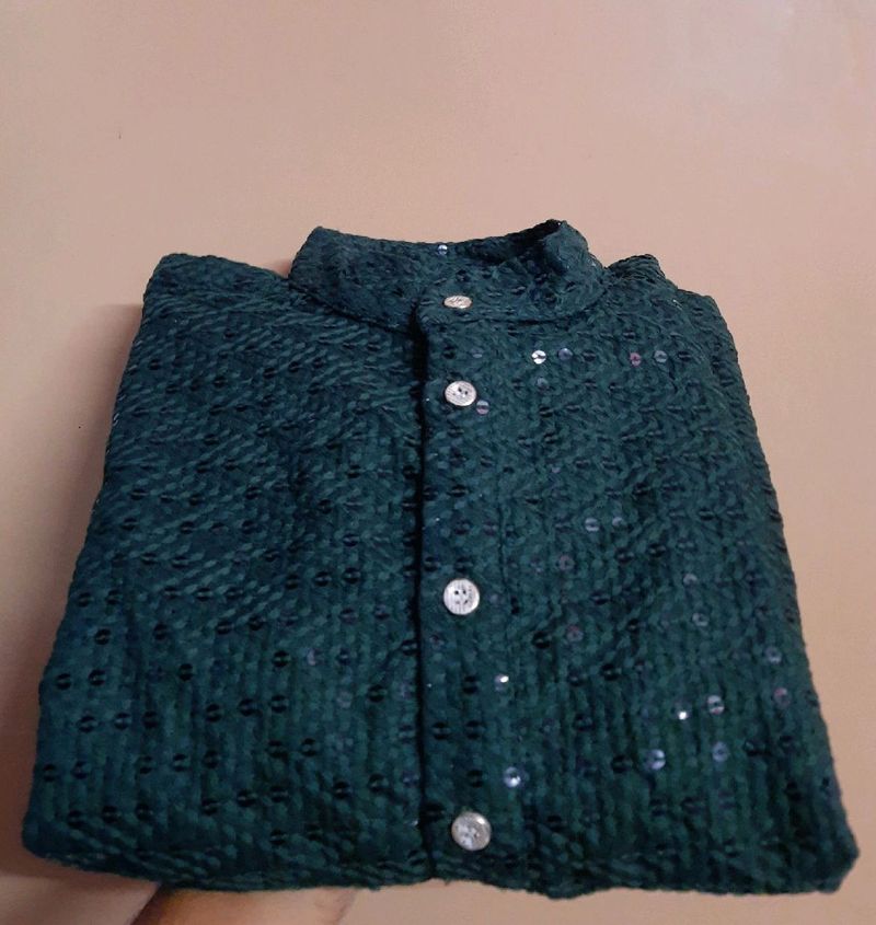 Elegant Green Kurta with Sequins