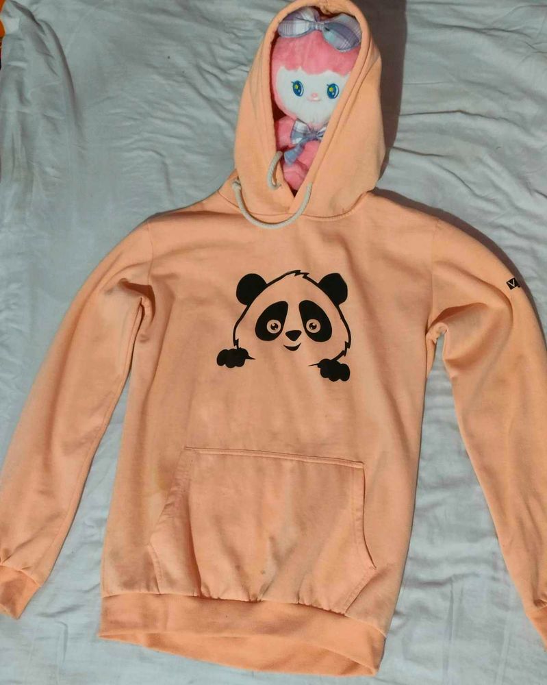Thick Cloth Casual Winter Wear, Hoodie.