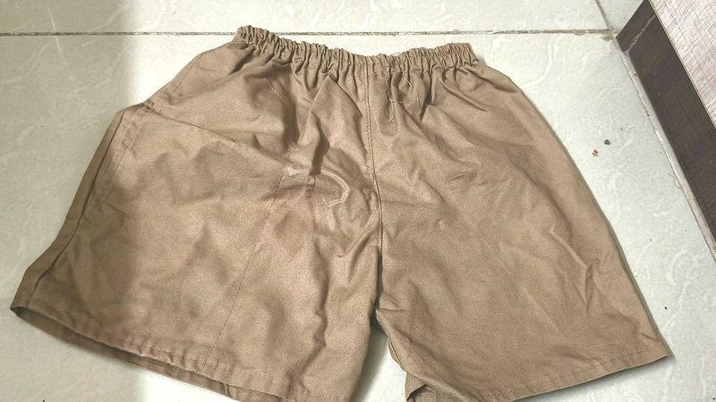 New Khaki Daily Wear Shorts