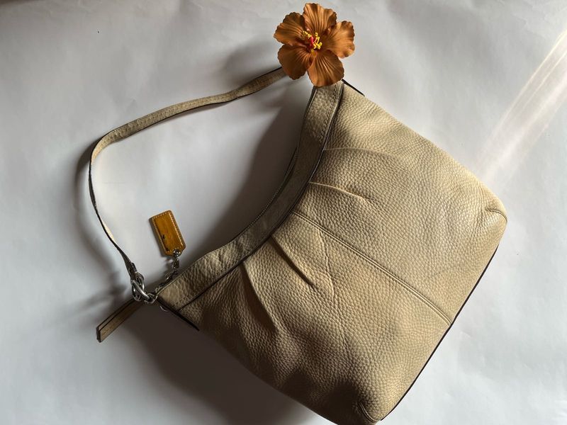 Coach Pleated Leather Shoulder Hobo Bag