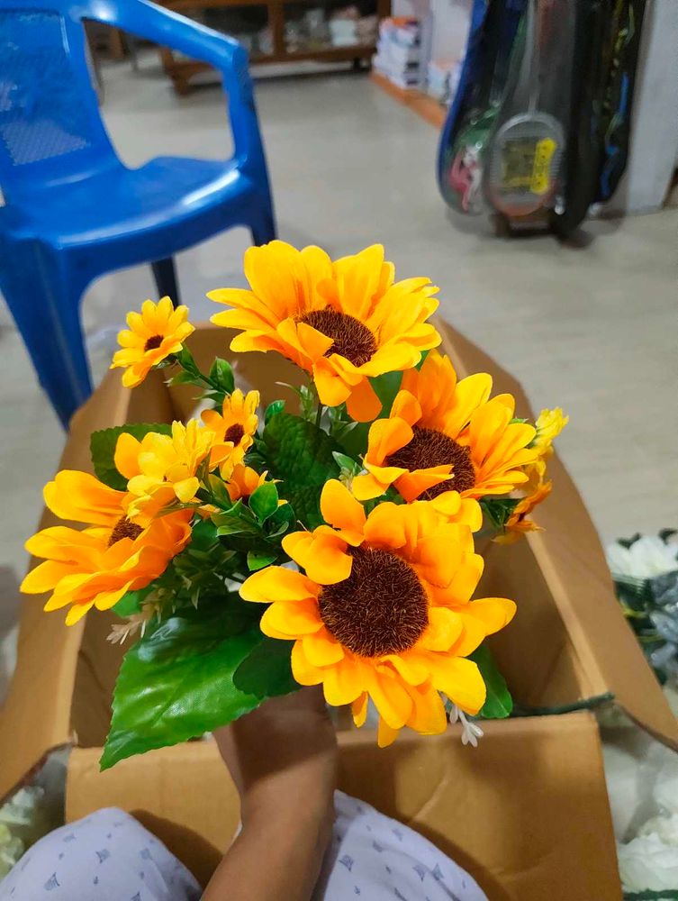 Beautiful Sunflower